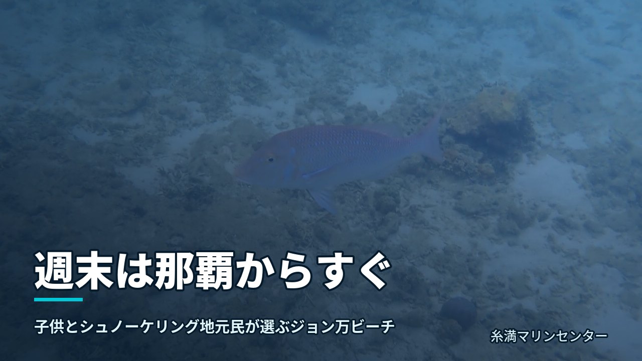 週末は那覇からすぐ|糸満マリンセンターの自然体験シュノーケル