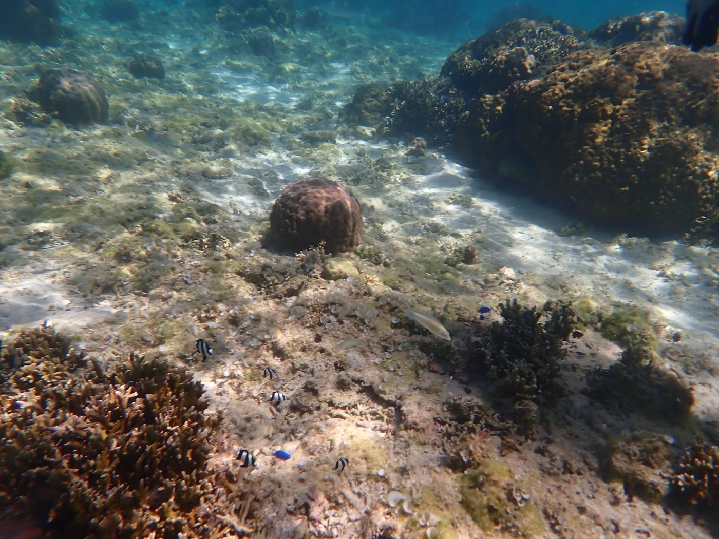 休憩中、ビーチから見た穏やかな水面とリーフの向こうの海の景色