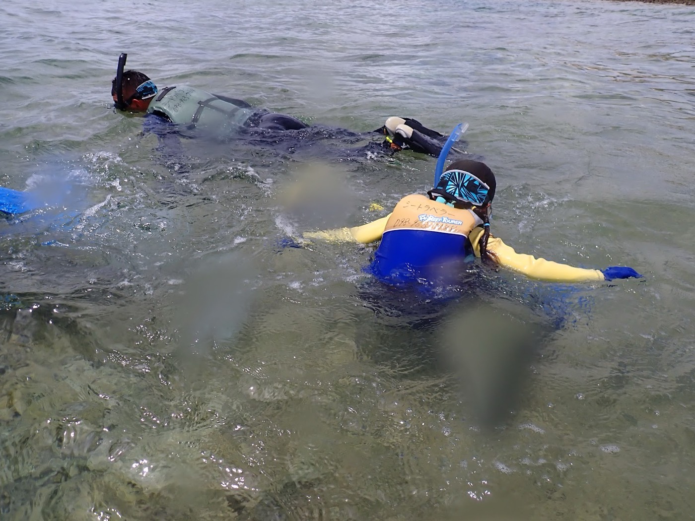 浅瀬で自然体験シュノーケル器材を装着し、水慣れをする参加者の後ろ姿