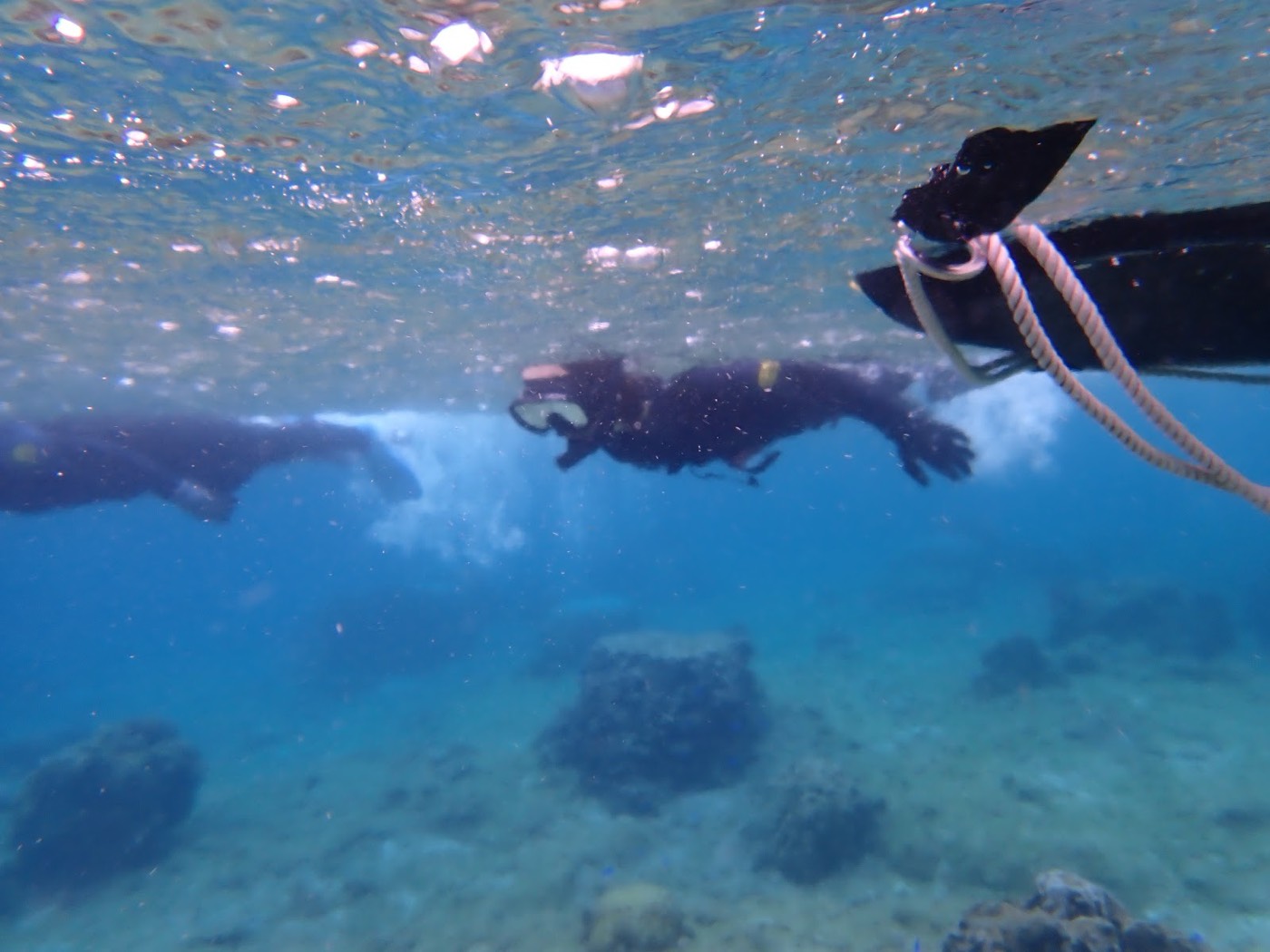 水面近くをシュノーケルを装着して泳ぐ参加者と、海中にわずかに見えるリーフ