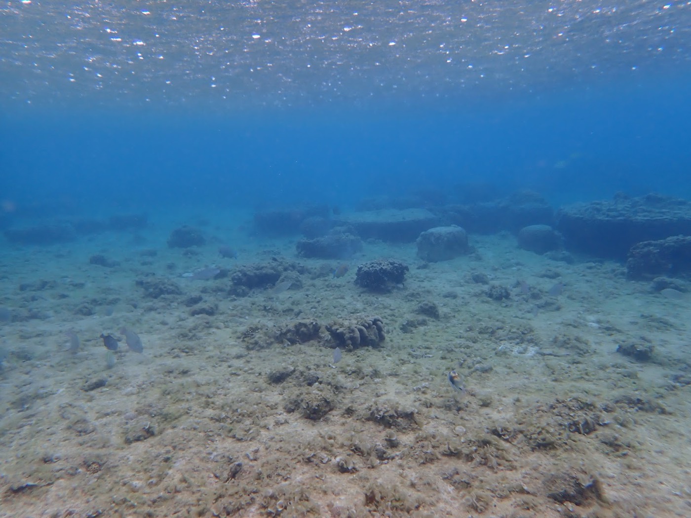 水底に広がるサンゴや岩礁、水面からの光が差し込む明るい海中景色