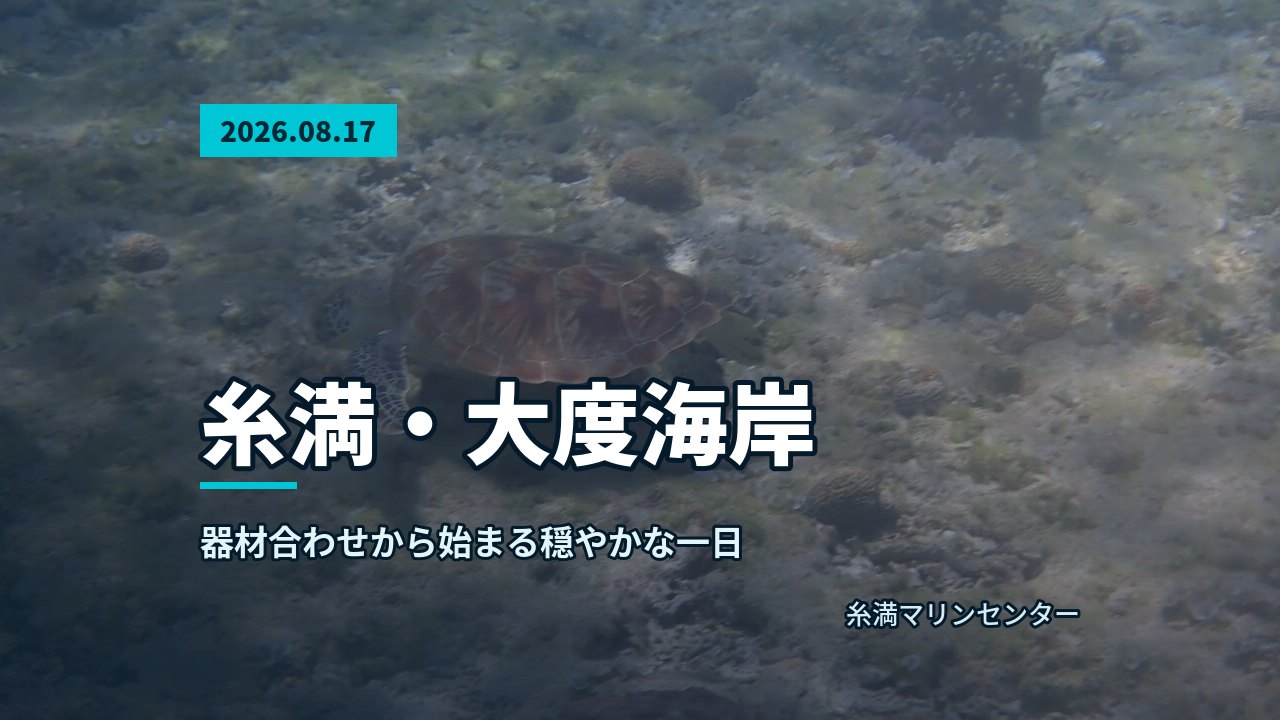 自然体験シュノーケルで紹介する沖縄の海の様子