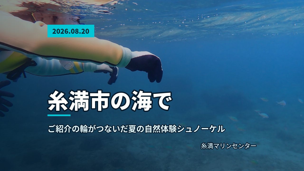 透明感のある海面近くを連なって泳ぐ参加者たち、漂う明るい海