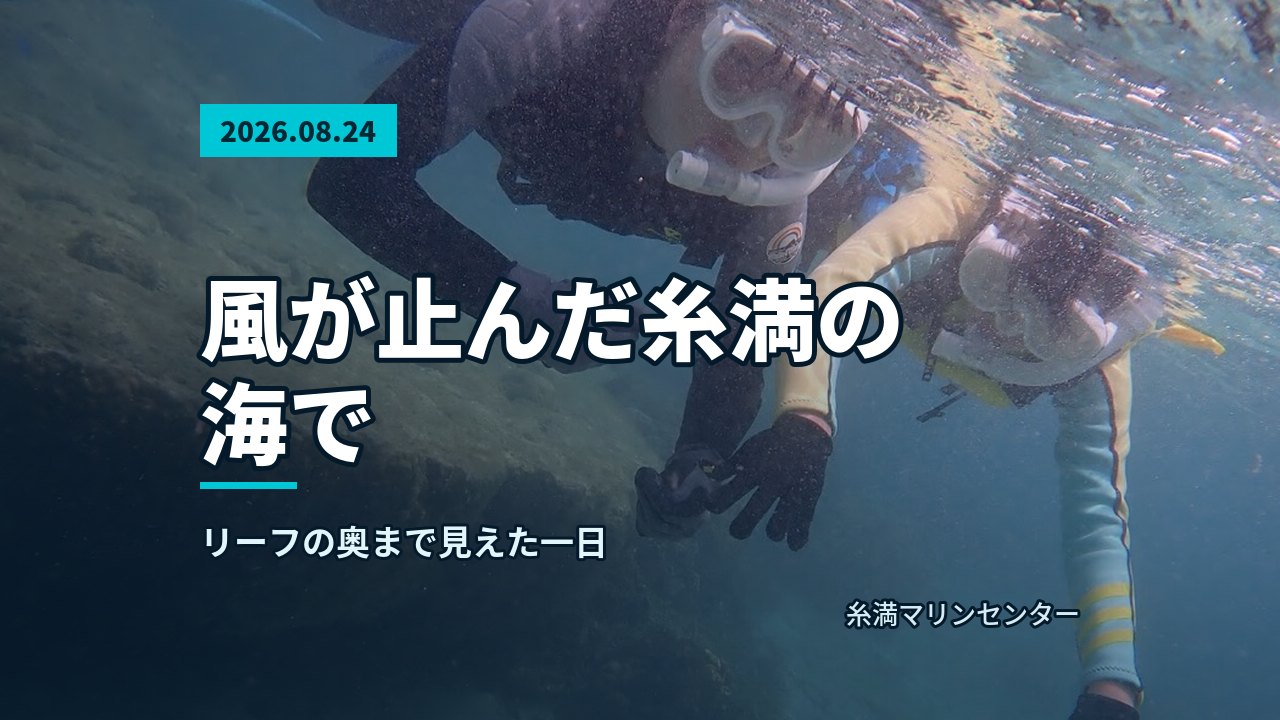 スタッフが浅瀬で参加者のマスクとシュノーケルを調整している