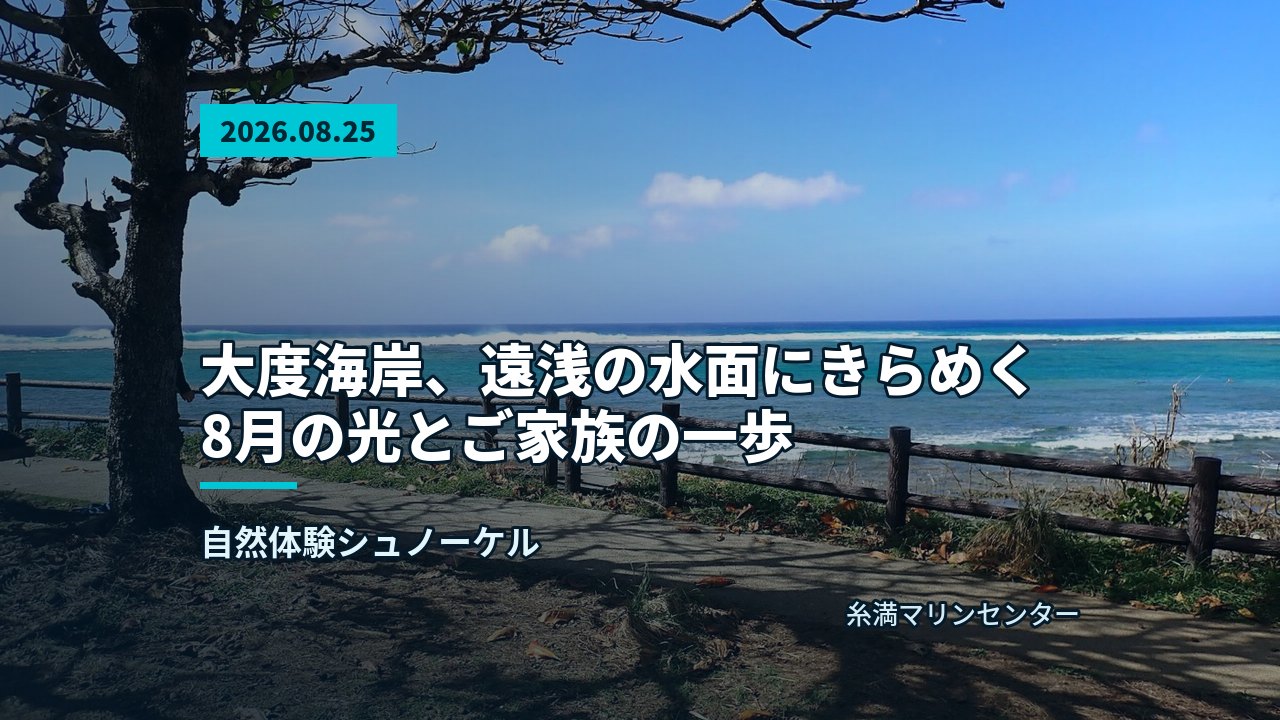 大度海岸の遠浅の海で水面に浮かび、笑顔で景色を眺める参加者とウミガメ