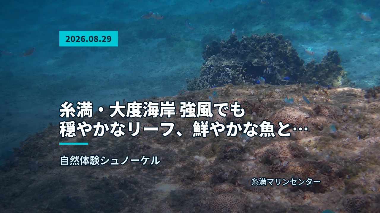 岩とサンゴが点在する砂地の海底に魚が数匹泳ぐ様子