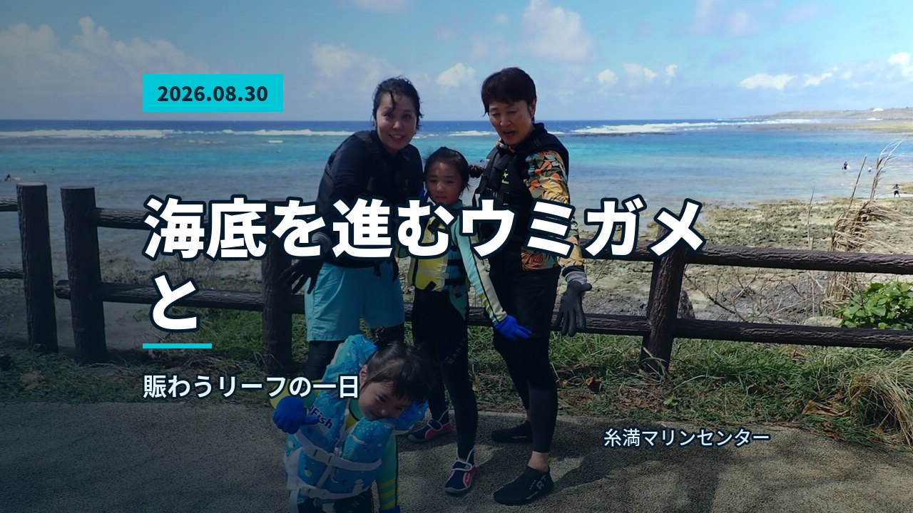 浅瀬で浮き具とともに並ぶ大人のグループのある一枚