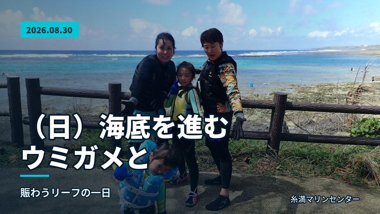 浅瀬で浮き具とともに並ぶ大人のグループのある一枚