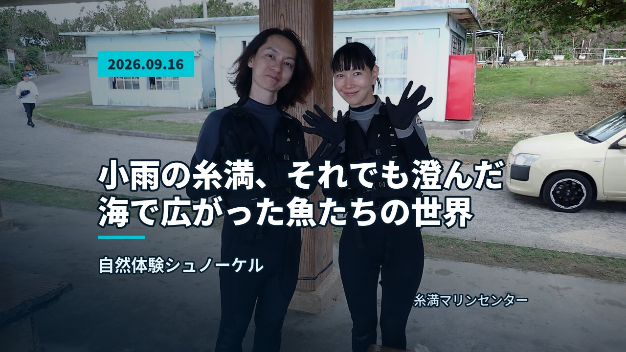 ウェットスーツ姿の参加者たちが岩場を歩いて海に向かう後ろ姿