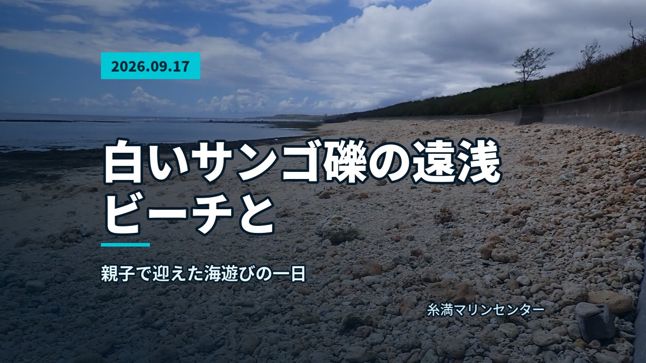 を感じる海を背景に器材を持つ参加者の記念写真