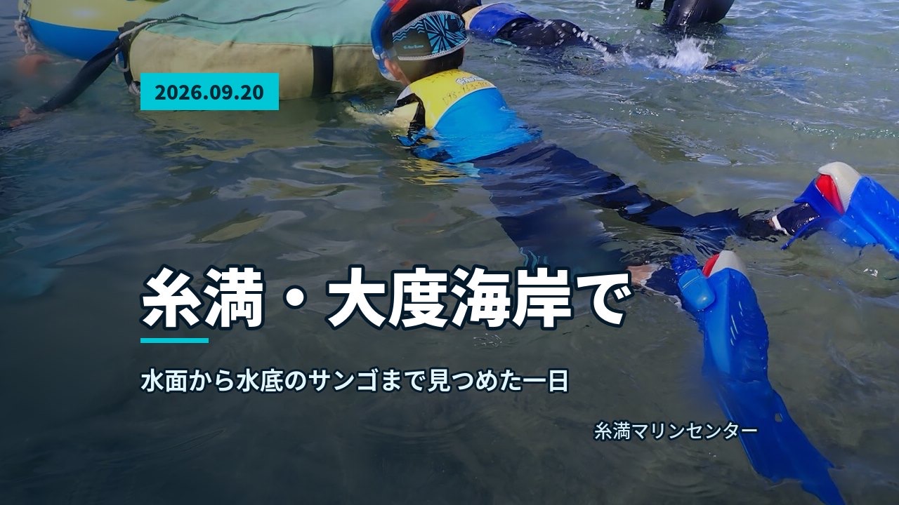 あふれる浅瀬で、浮き輪につかまりながらシュノーケル練習