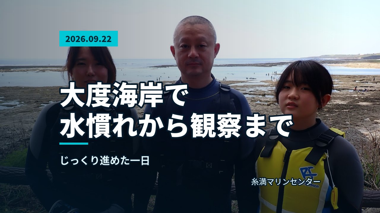 海岸の柵を背景に、ウェットスーツを着た大人と小さなお子様のグループ写真