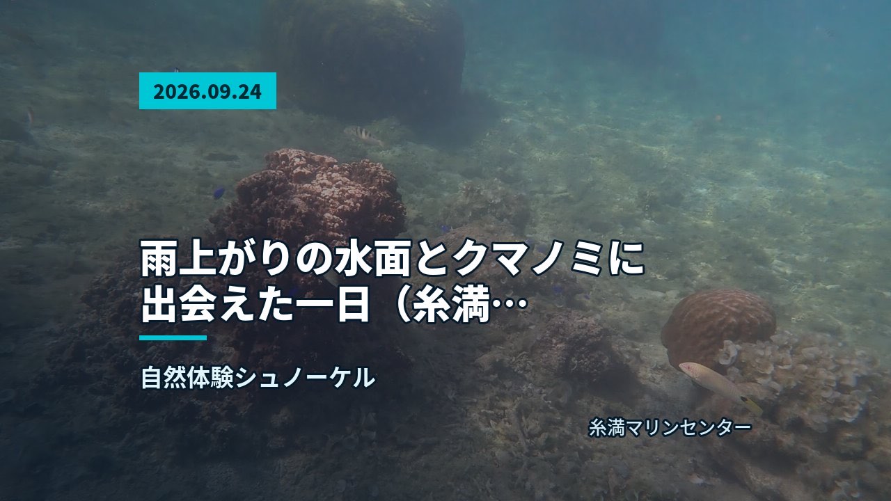 浅瀬の岩場と砂地が透明感のある水越しに見える景観