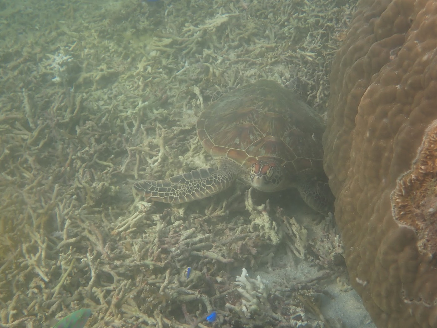海に浮かび、両手を広げて楽しむ参加者の女性