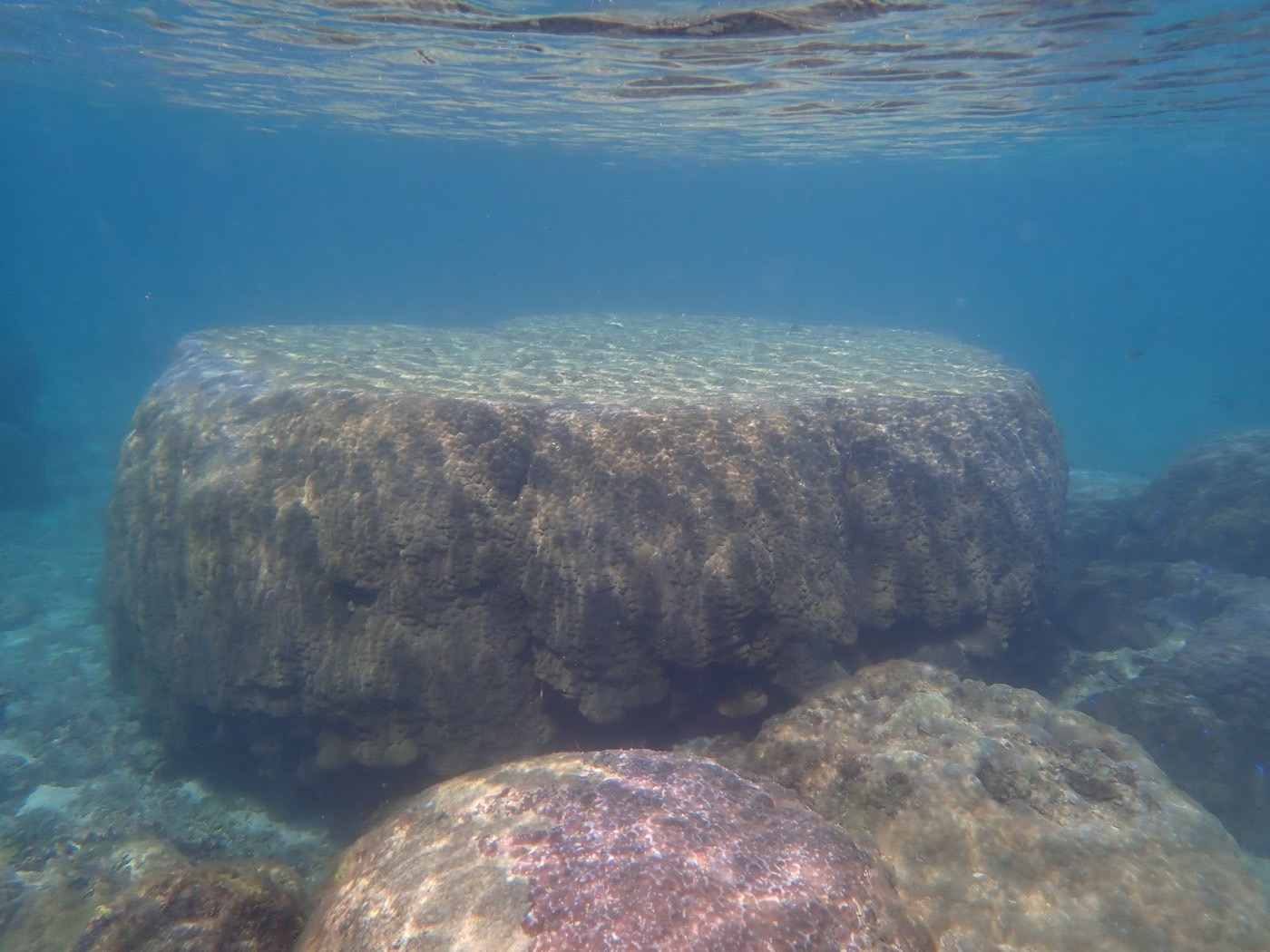 水面から光が差し込み、海底にサンゴ礁が広がる明るい水中景観