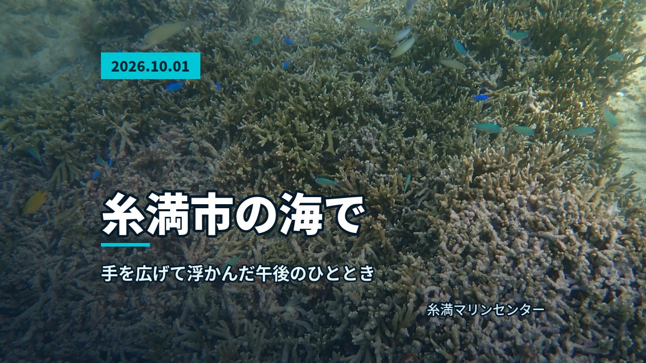 海に浮かび、水面から顔を出す男性の参加者