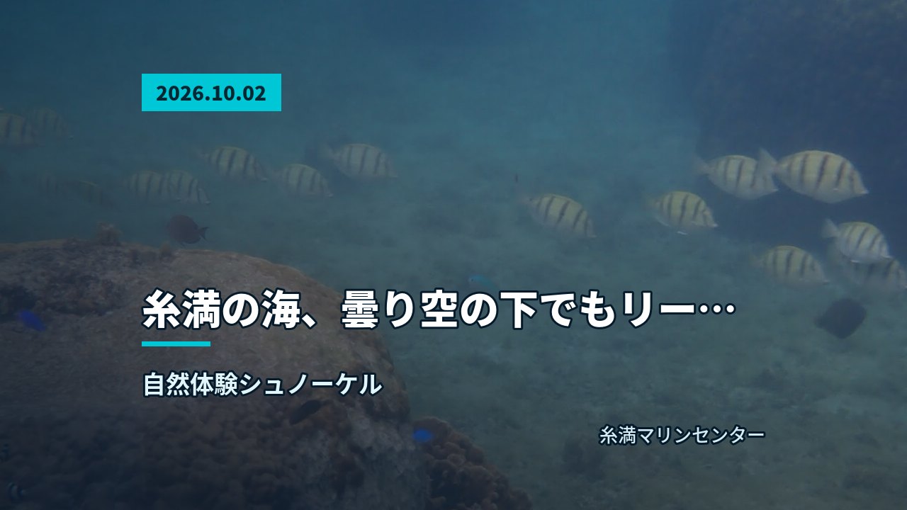 縞模様の魚の群れが水中を泳ぎ、手前にはサンゴ礁が見える