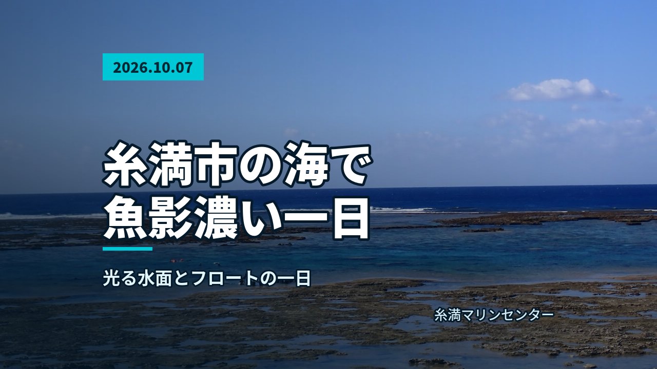 遠浅のリーフと青い海が広がる海岸の景色
