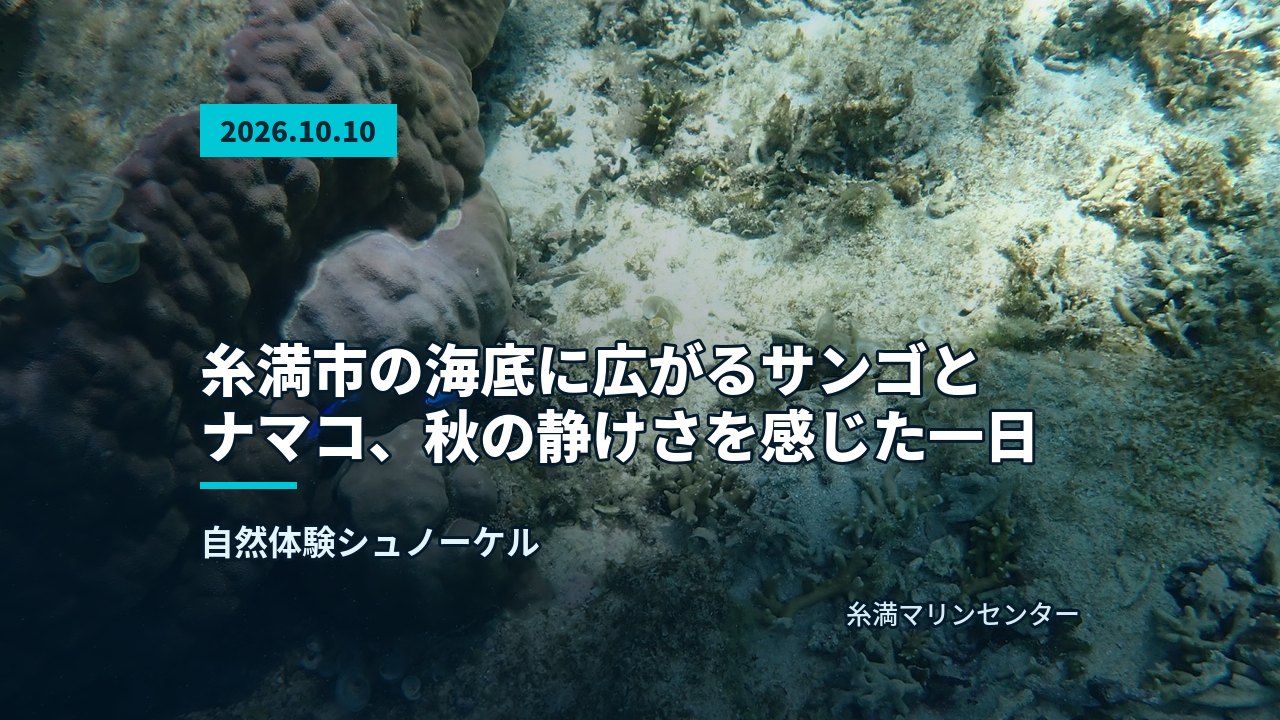 海底の大きなサンゴの近くを青い小魚が泳ぐ様子