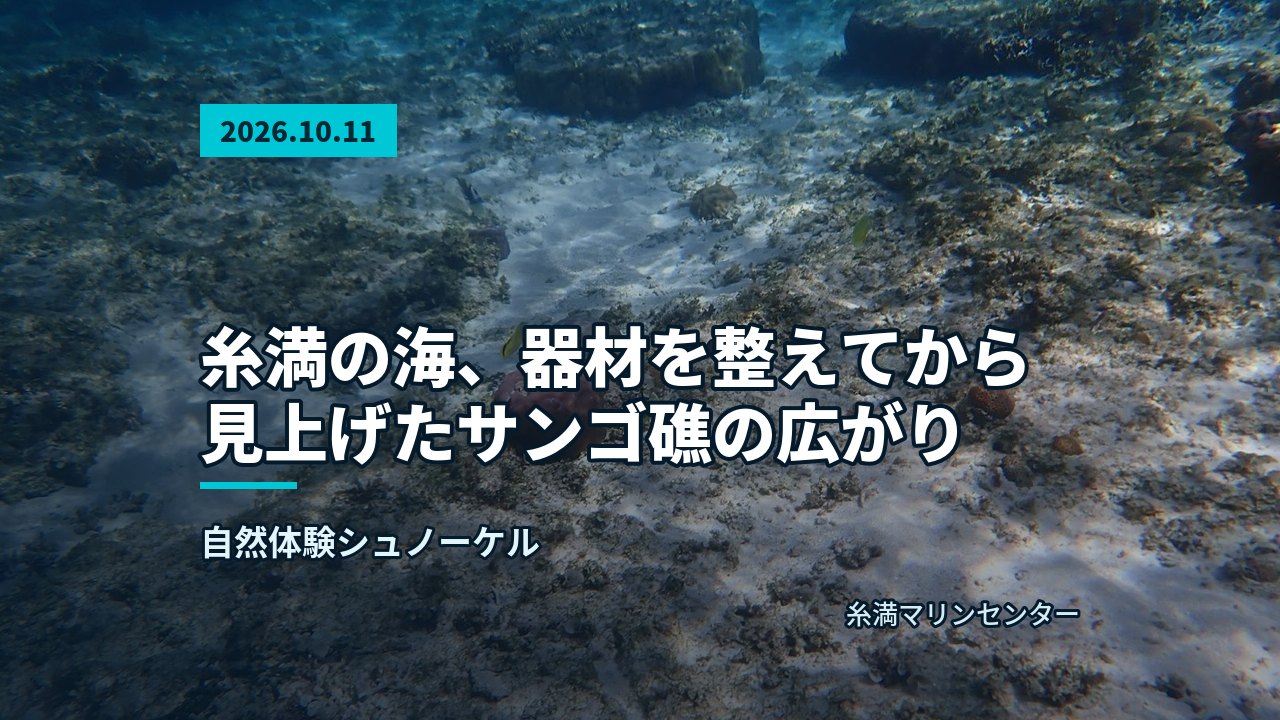 広大な海底に点在するサンゴ礁と白い砂地、上方には青い水面が見える景色