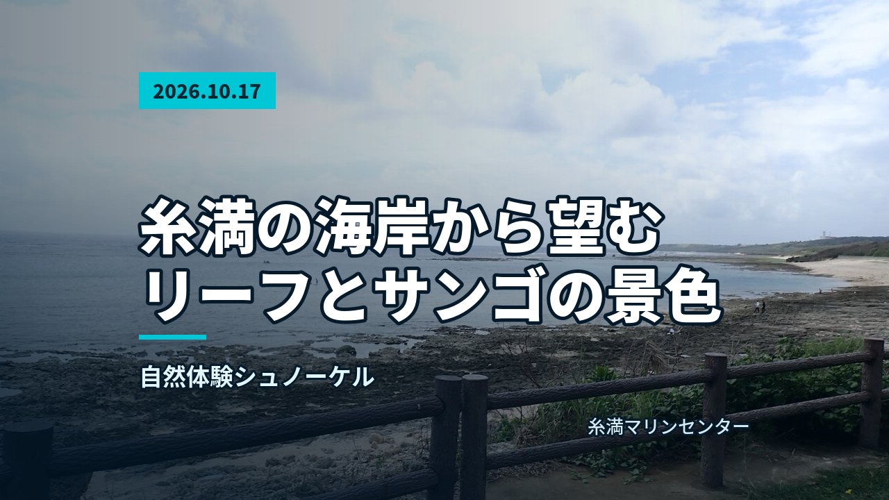 曇り空の下、広大な海と岩礁が広がる海岸風景